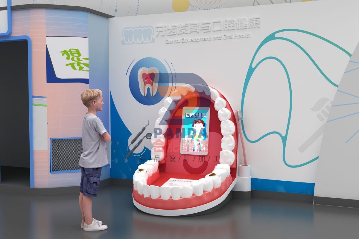 牙齿发育与口腔健康科普展品