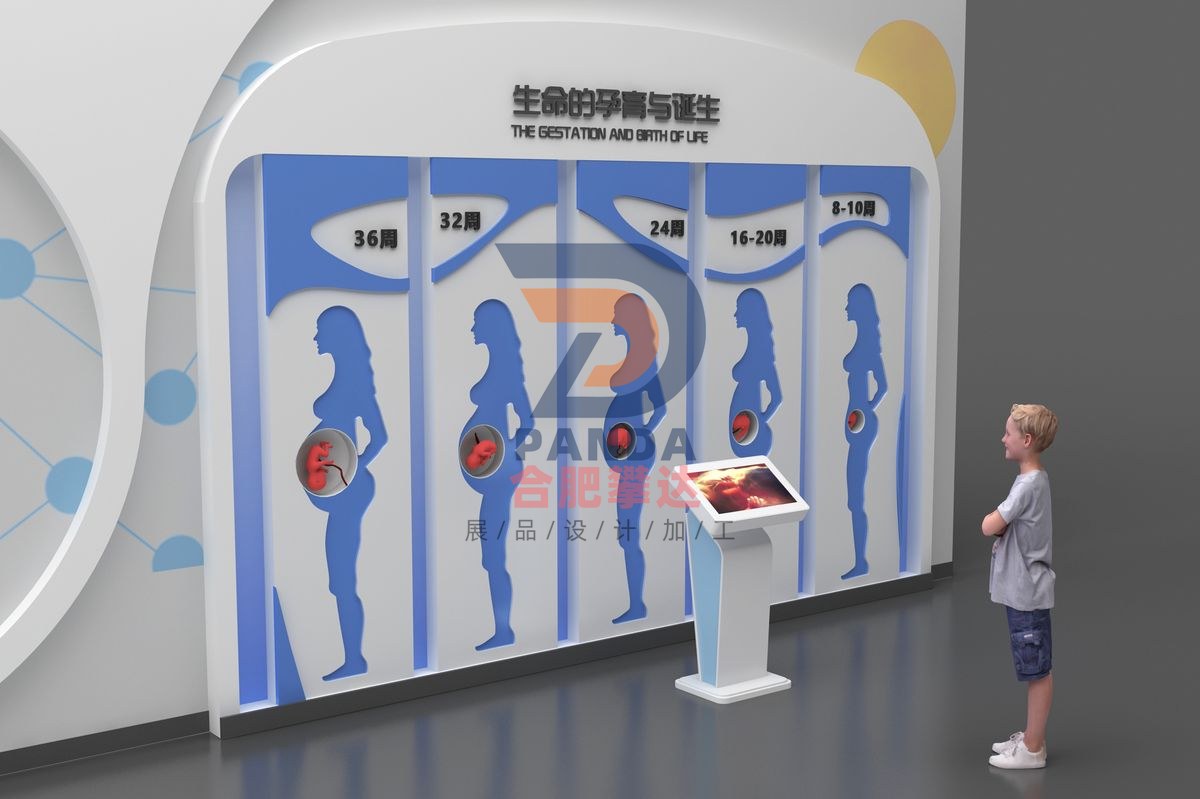 生命的孕育与诞生科普展品
