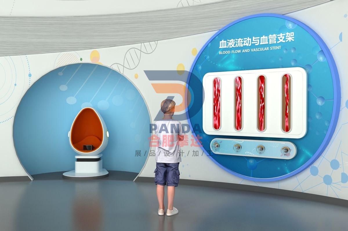 血液流动与血管支架科普展品