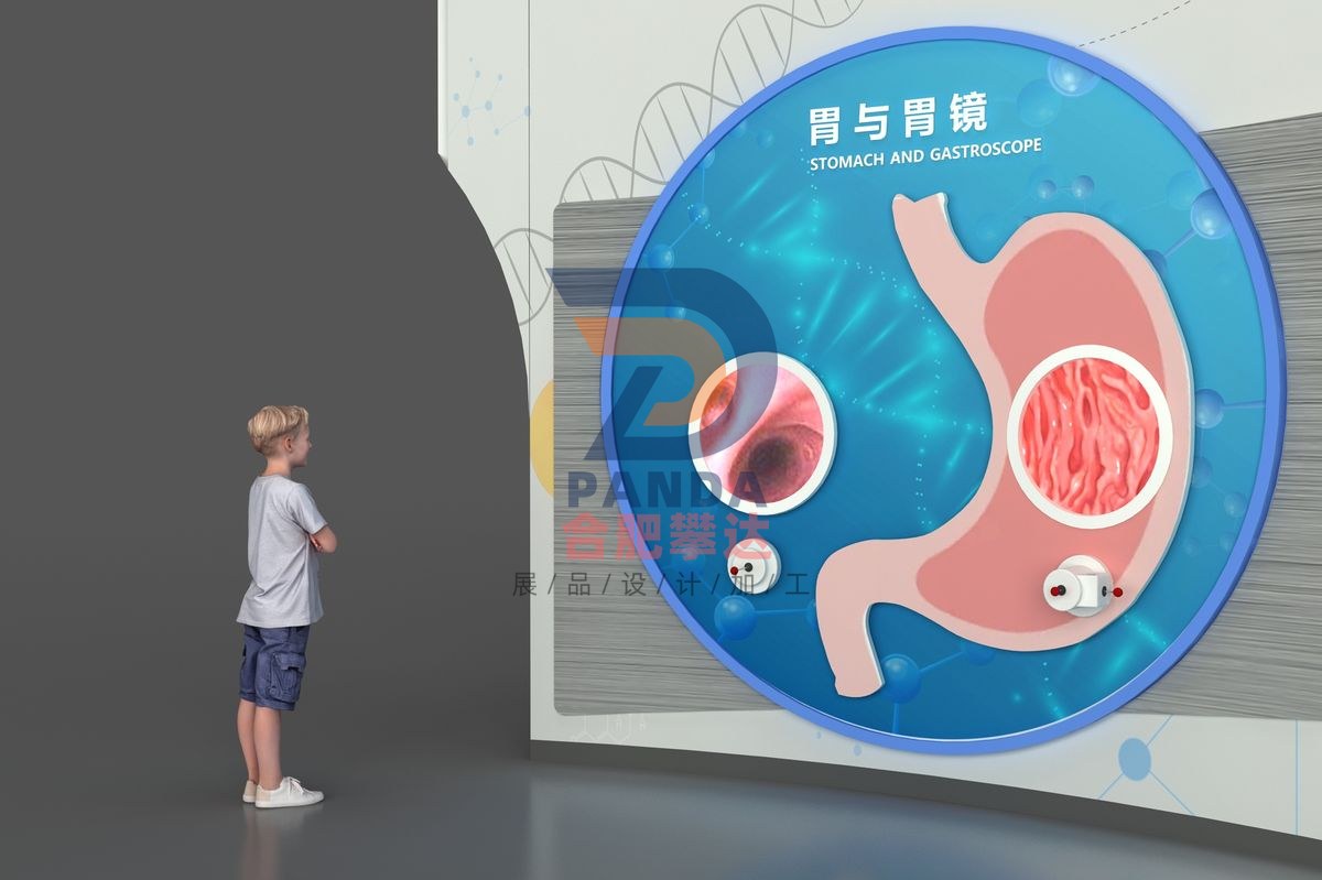 胃镜与胃科普展品