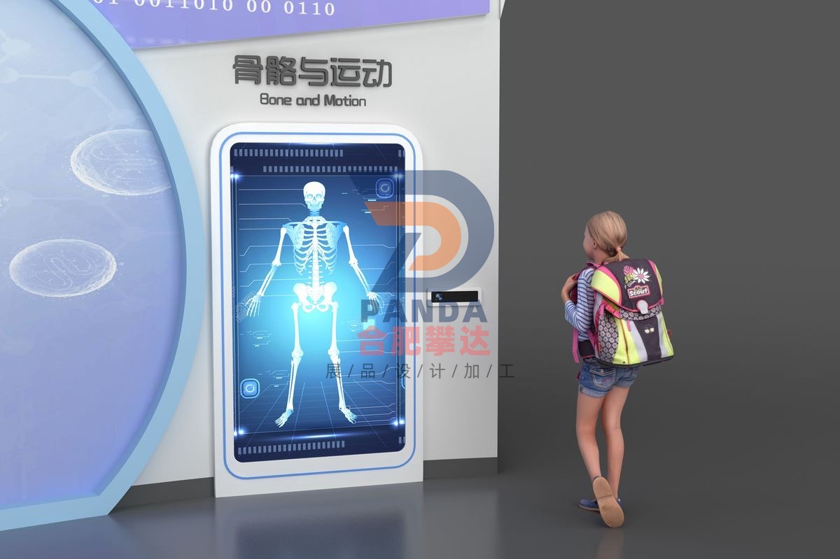 骨骼与运动科普展品