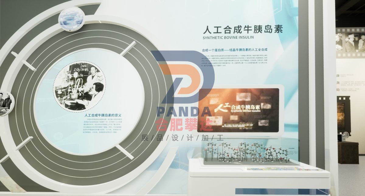 人工合成牛胰岛素科普展品