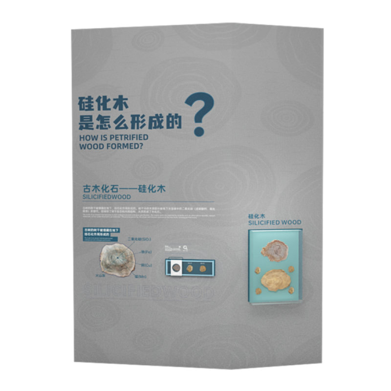 硅化木化石展项效果图